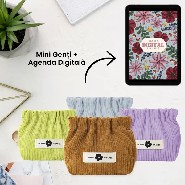 Mini Genți - Organizatori pentru poșeta (Obțineți 4 pentru 1 doar săptămâna aceasta)